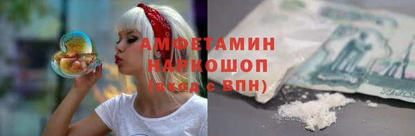 гидра Верхний Тагил