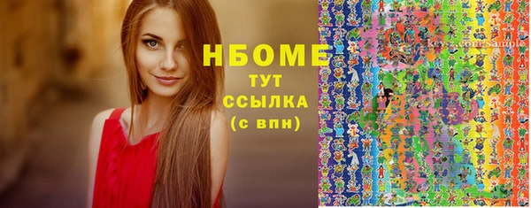 гидра Верхний Тагил