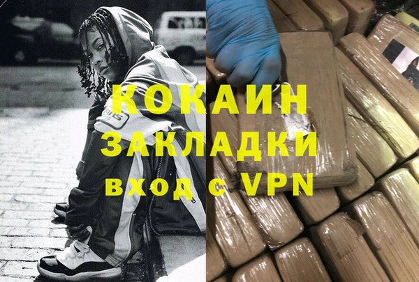 гидра Верхний Тагил