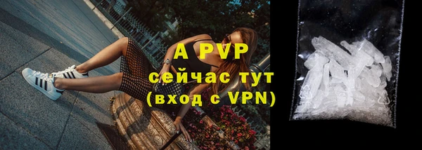 гидра Верхний Тагил