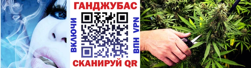 Бошки Шишки THC 21%  Купить  Кубинка 